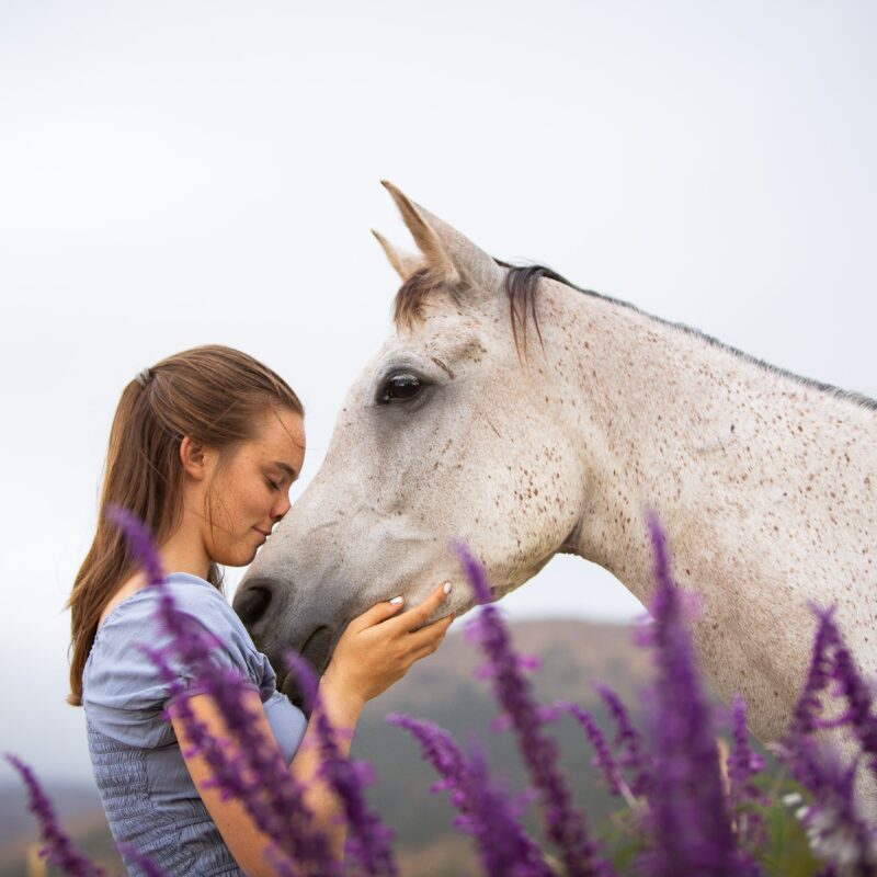 Equine Therapy for Mental Health
