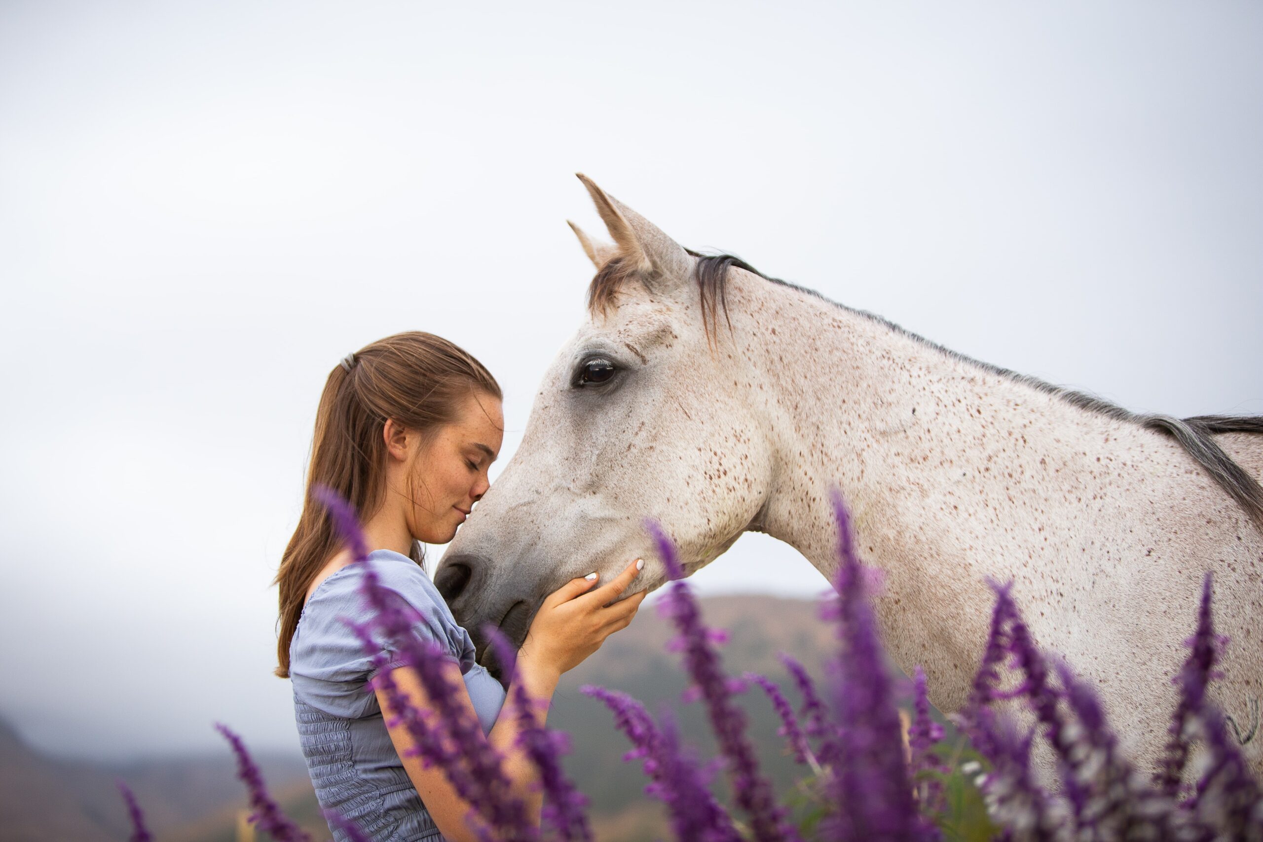 Equine Therapy for Mental Health: A Unique Approach