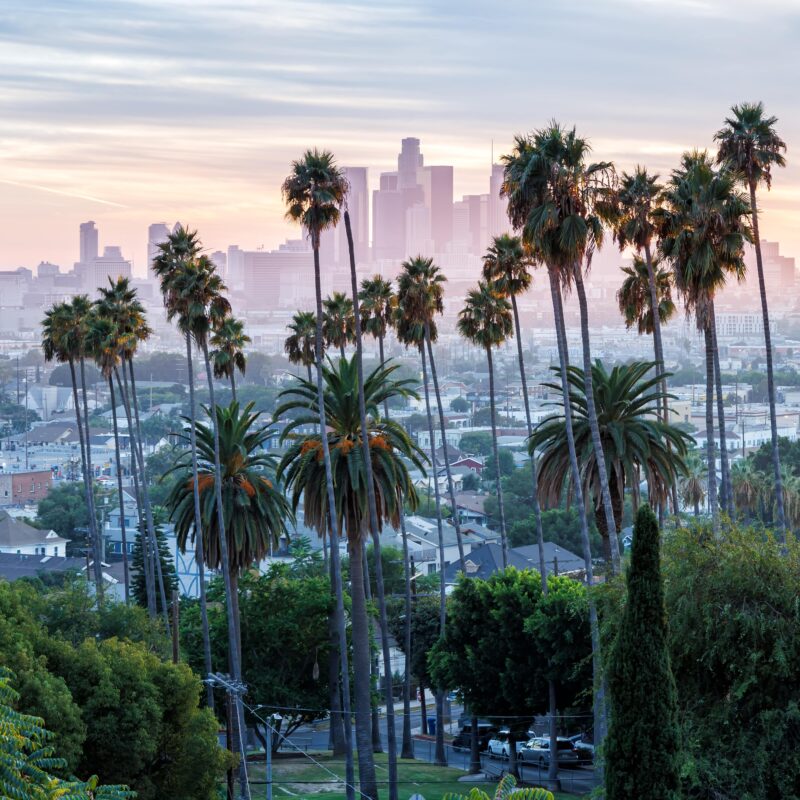 Discreet Therapy Options for Celebrities Living in Los Angeles